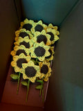 Brighting up your day with sunflowers! 🌻💛🌞